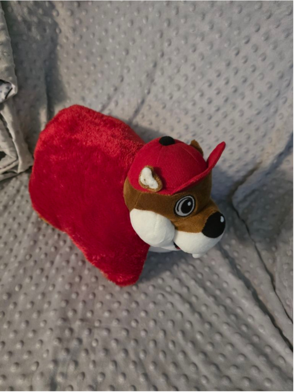 Buc-ee beaver travel‎ pillow